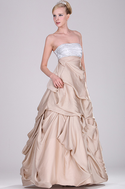 Strapless Elegant Evening Gown