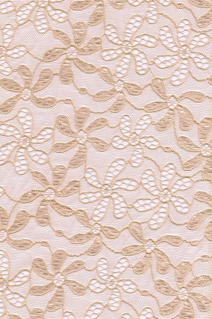 Lace Fabric