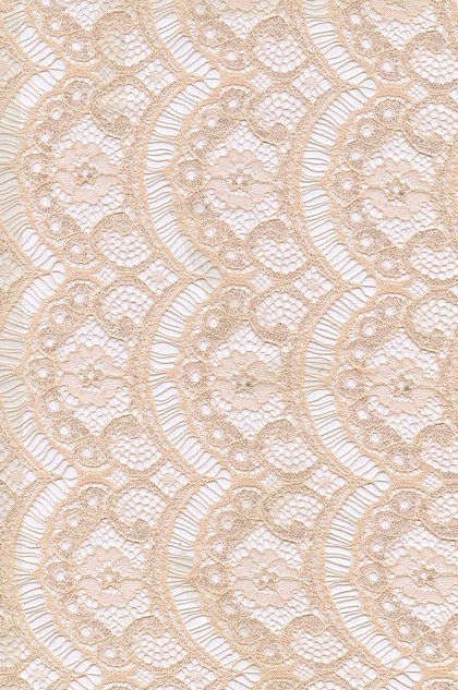 Lace Fabric