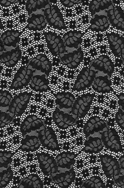 Lace Fabric