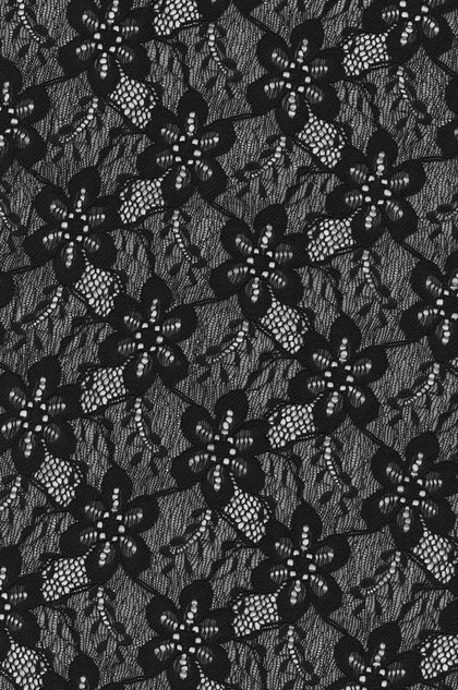 Lace Fabric