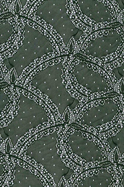 Lace Fabric