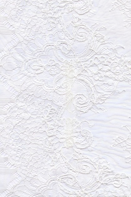 Tissu de Dentelle