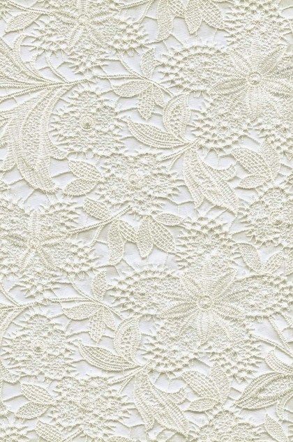 Tissu de Dentelle