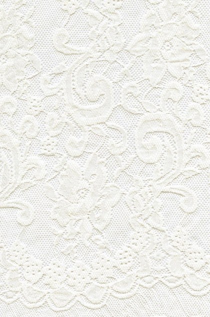 Lace Fabric