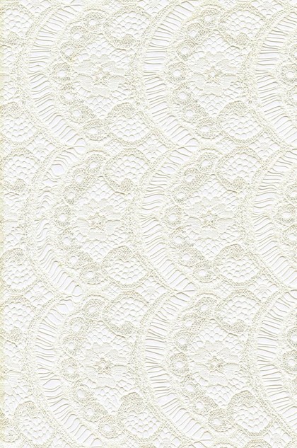 Lace Fabric