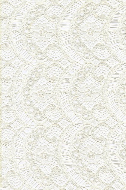 Lace Fabric