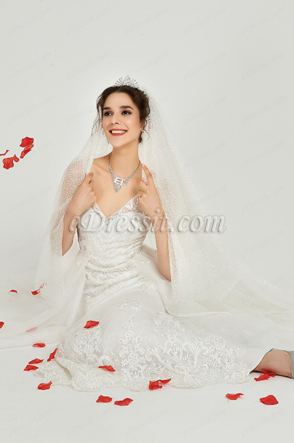 Charming Bridal Veil