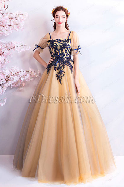 Beige Sleeves Tulle Long Party Ball Evening Dress