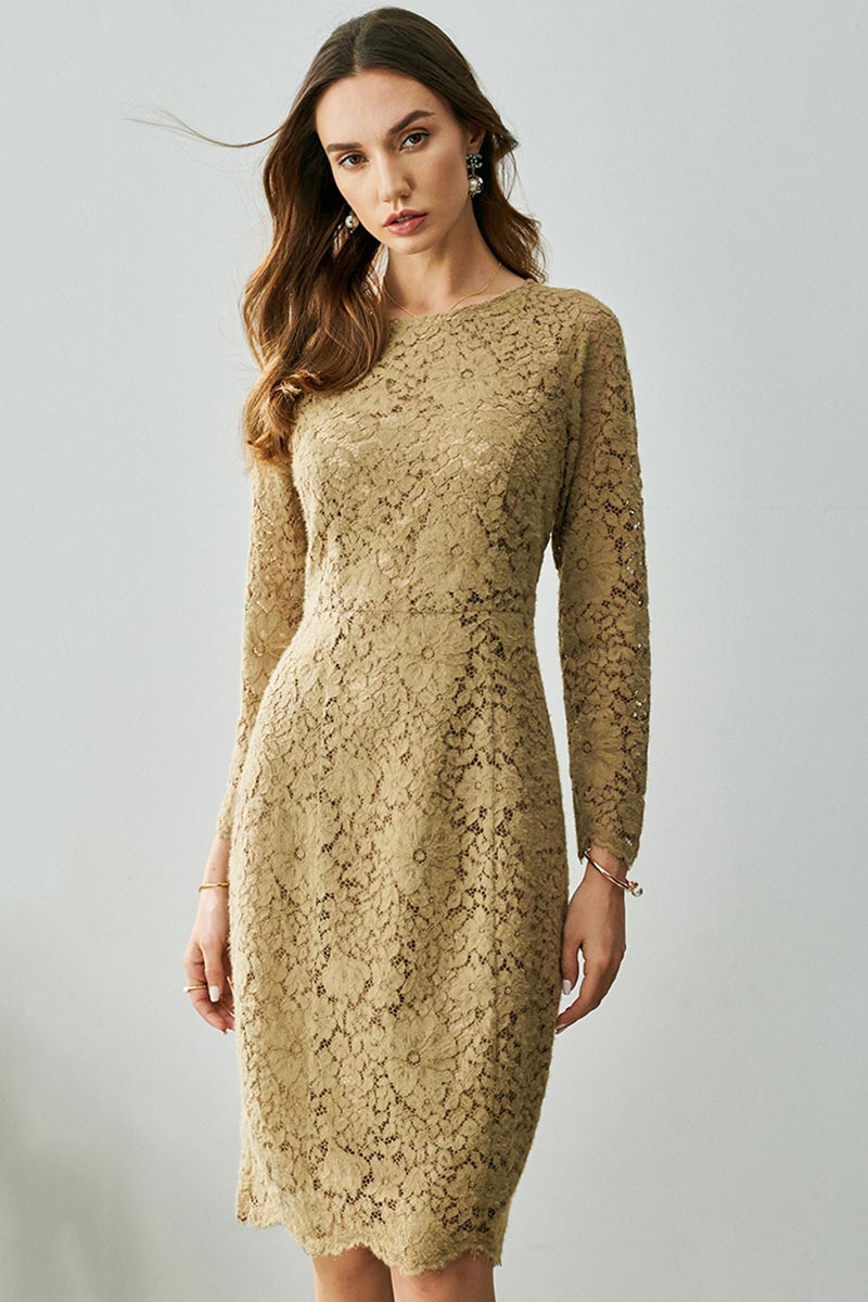 Elegant Round Neckline Lace Day / Party Wear Dress