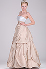Strapless Elegant Evening Gown