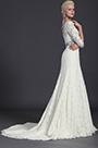 Gorgeous Lace Sleeves Wedding Gown