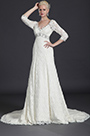 Gorgeous Lace Sleeves Wedding Gown