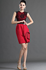 Elegant  Sleeveless Red Lace Mother of the Bride Dress