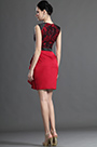 Elegant  Sleeveless Red Lace Mother of the Bride Dress