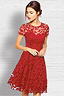 Short Sleeves Lace Cocktail Dress Day Dress