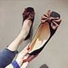 Women Bowknot Toe Closed Pointed Flat Shoes