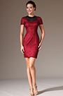 Red Round Neck Short Sleeves Sheath Lace Party Dress