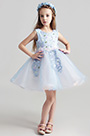 Lovely Light Blue Short Girl Wedding flower Girl Dress
