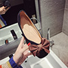 Women Bowknot Toe Closed Pointed Flat Shoes