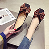 Women Bowknot Toe Closed Pointed Flat Shoes