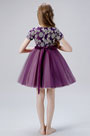 Short Sleeves Round Neck Flower Girl Dress