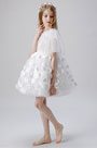Short Sleeves Tulle Wedding Flower Girl Dress