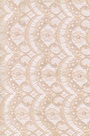 Lace Fabric