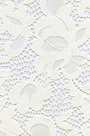 Lace Fabric