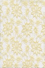 Lace Fabric
