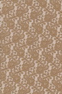 Lace Fabric