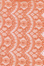 Lace Fabric