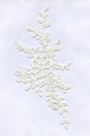 Lace Fabric