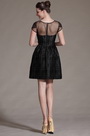 Black Round Neckline Sheer Top Cocktail Dress Party Dress