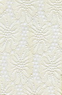 Lace Fabric