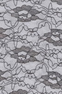 Lace Fabric