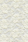 Lace Fabric