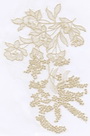 Lace Fabric
