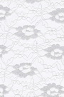 Lace Fabric