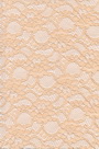 Lace Fabric