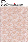Lace Fabric