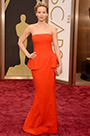 Custom Made Jennifer Lawrence Strapless Gown for Academy Awards