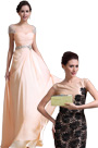 Gorgeous Cap Sleeves Evening Dress Golden Handbag Set