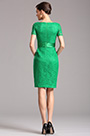 Kurzärmeliges Overlace Grün Parteikleid Cocltailkleid