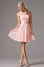 Rosa Lace Party kleid Cocktailkleid