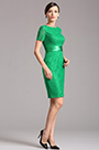 Kurzärmeliges Overlace Grün Parteikleid Cocltailkleid