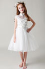 Lovely Lace Applique Flower Girl Dress