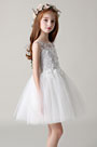 Princess Lace Children Wedding Flower Girl Dress