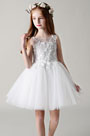 Princess Lace Children Wedding Flower Girl Dress