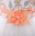 Embroidery Sleeveless Baby Dress Infant Dress
